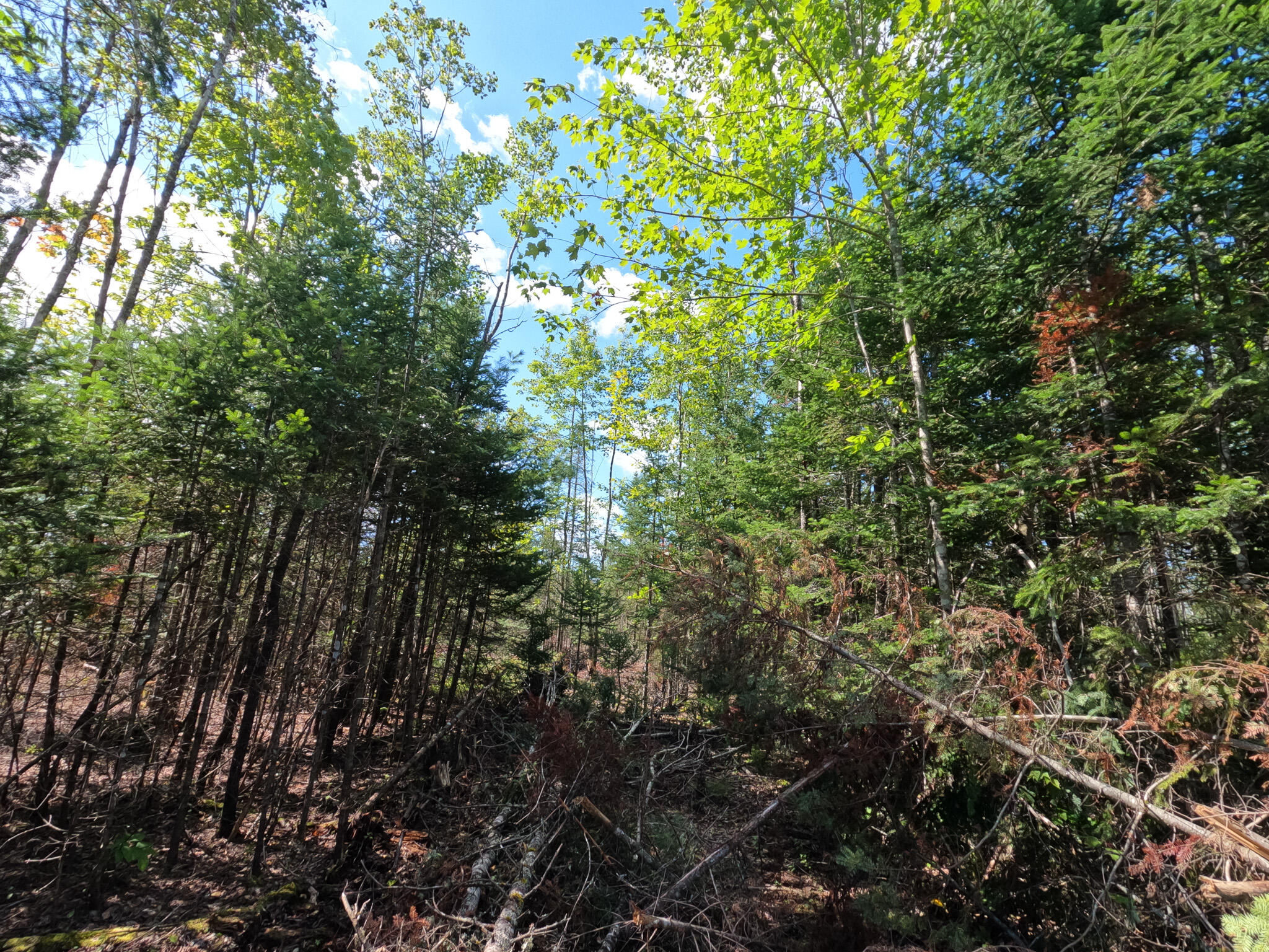 Lot 28 Murray Road Thorndike, ME 04986 - Photo 21 of 38 GOPR1651