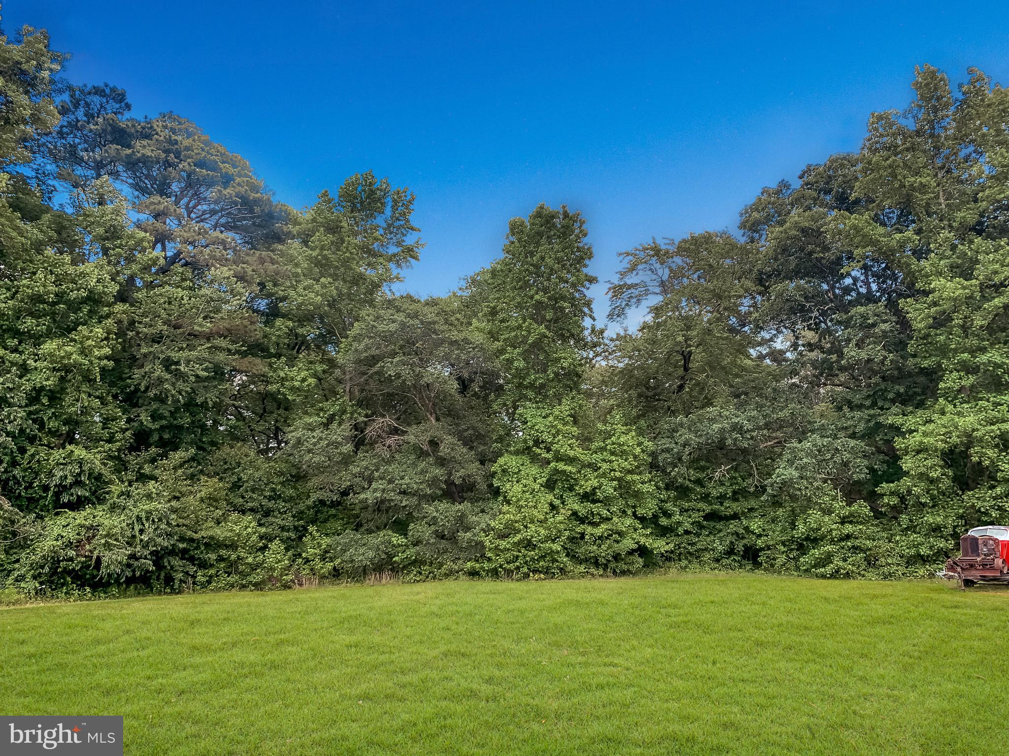 26919 Siloam Road Salisbury, MD 21801 - Photo 26 of 29 Private treeline in the backyard