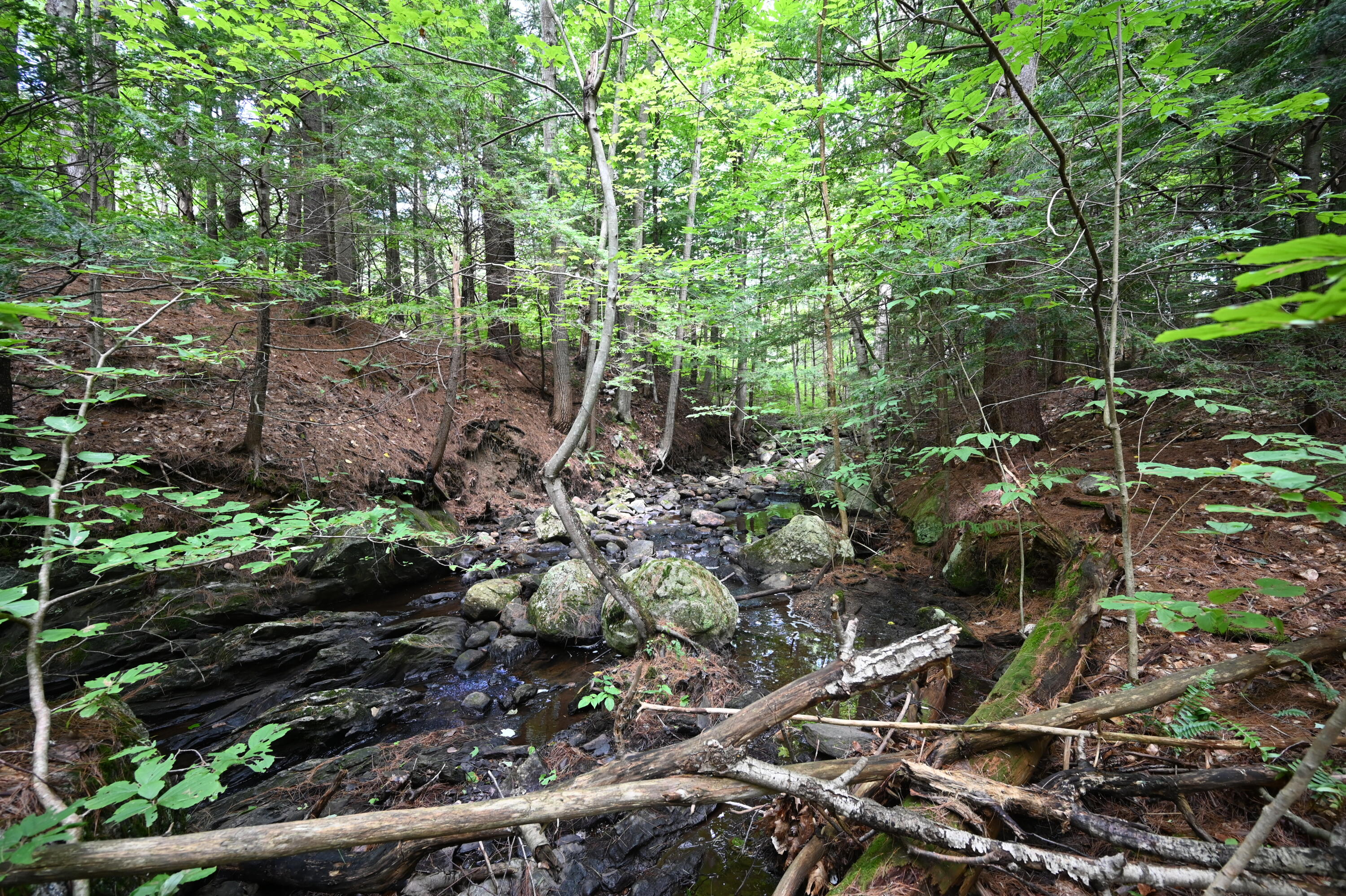 Lot# Federal Road Livermore, ME 04253 - Photo 6 of 9 Brook on Lot