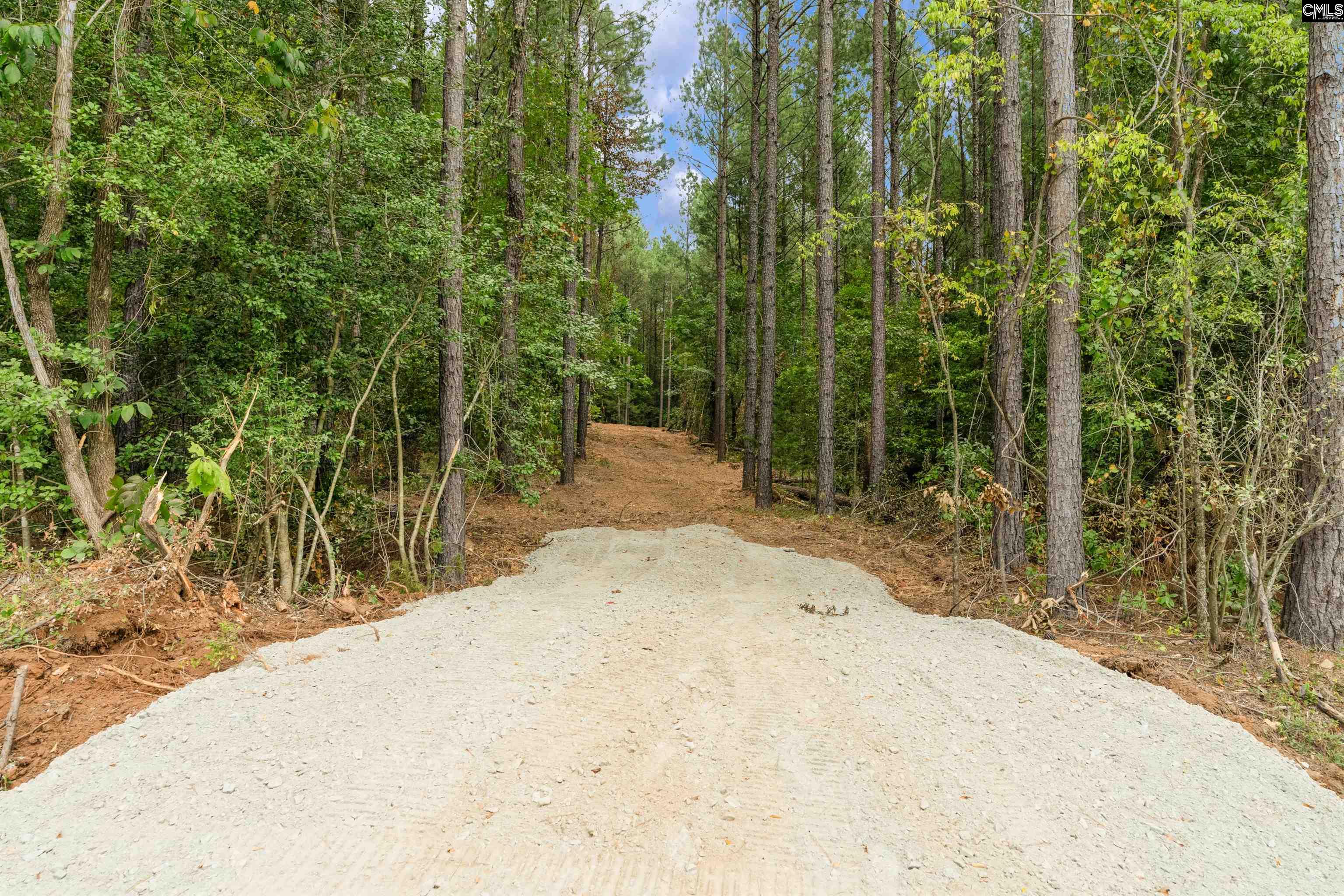 0 Penner Road, Unit 10 Jenkinsville, SC 29065 - Photo 31 of 43