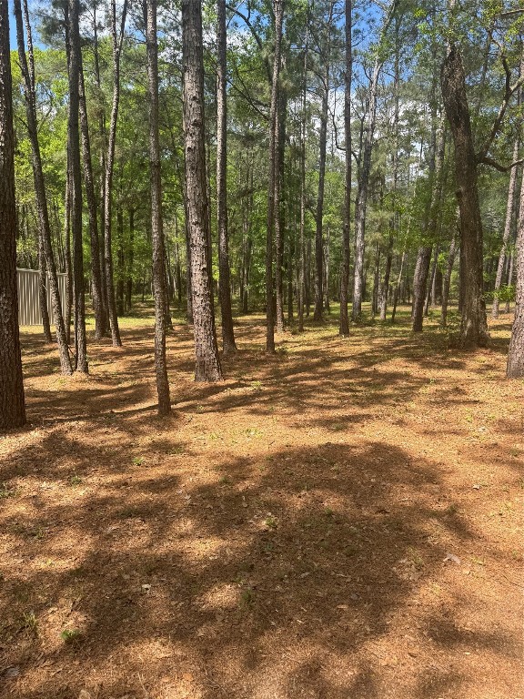 16375 Grand Flower Road Plantersville, TX 77363 - Photo 14 of 25 a view of a trees with a house