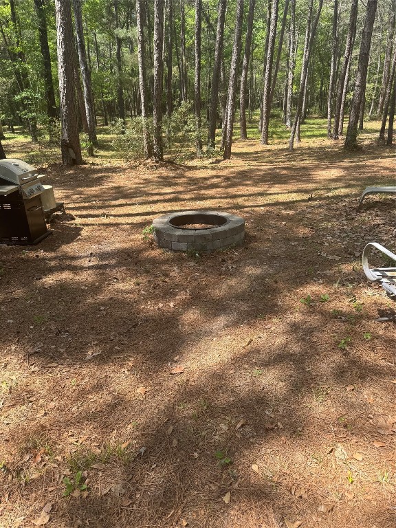 16375 Grand Flower Road Plantersville, TX 77363 - Photo 15 of 25 a view of outdoor space with trees