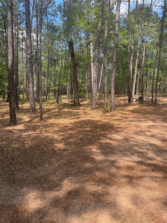 16375 Grand Flower Road Plantersville, TX 77363 - Photo 16 of 25 a swimming pool with trees in the background