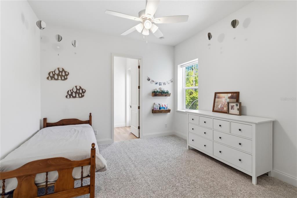 3805 Lakeview Acres Road St. Cloud, FL 34772 - Photo 32 of 66