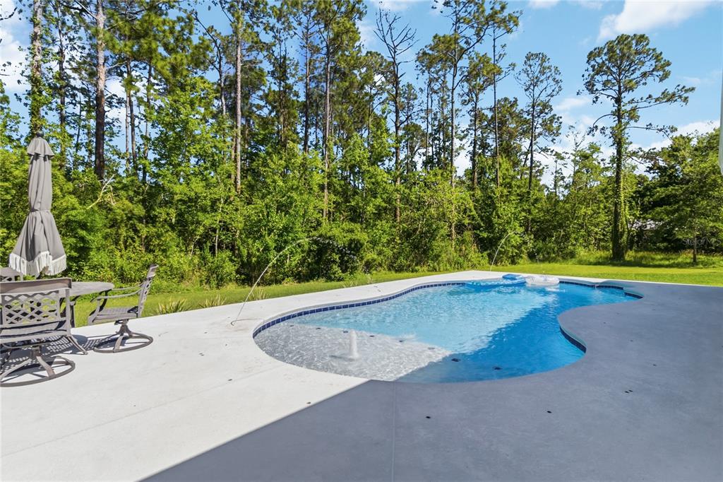 3805 Lakeview Acres Road St. Cloud, FL 34772 - Photo 51 of 66