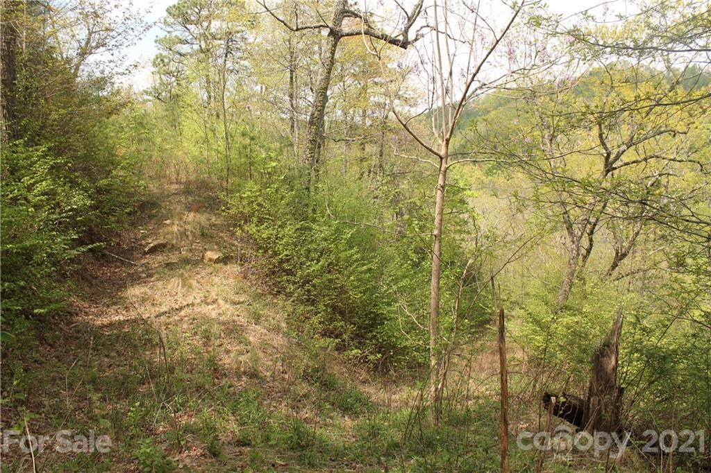 0 Shiners Ridge, Unit 24 Bryson City, NC 28713 - Photo 3 of 11 view of residential space and tree