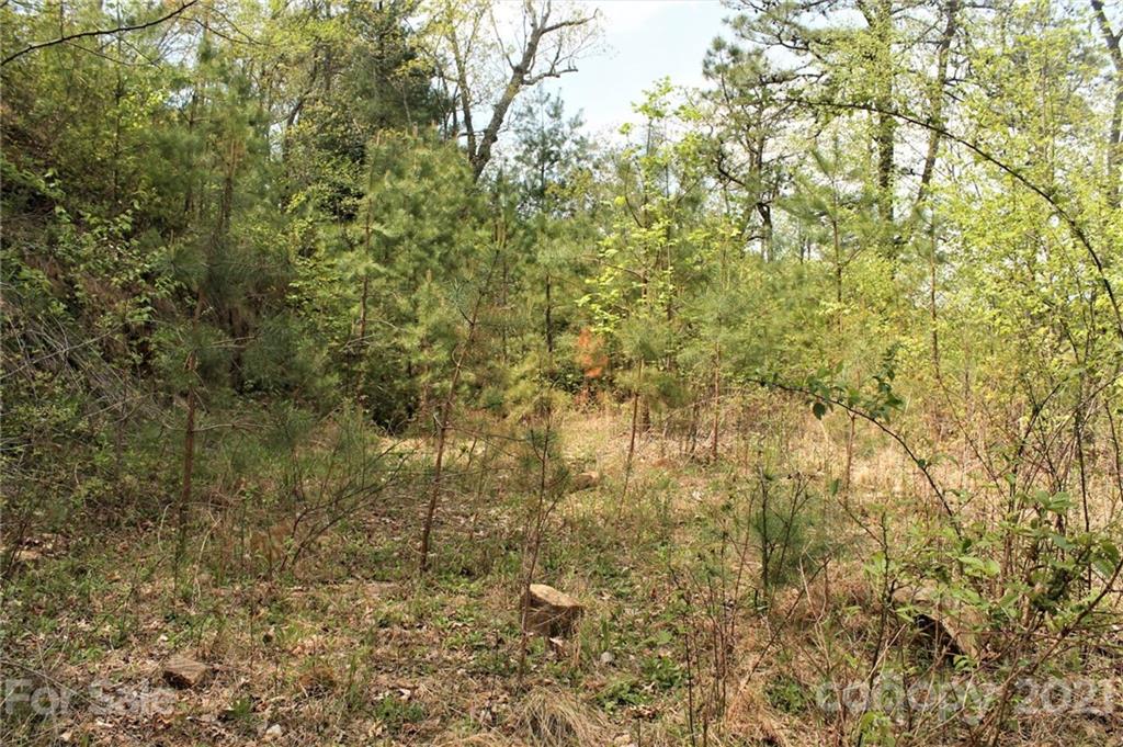 0 Shiners Ridge, Unit 24 Bryson City, NC 28713 - Photo 4 of 11 a view of a yard