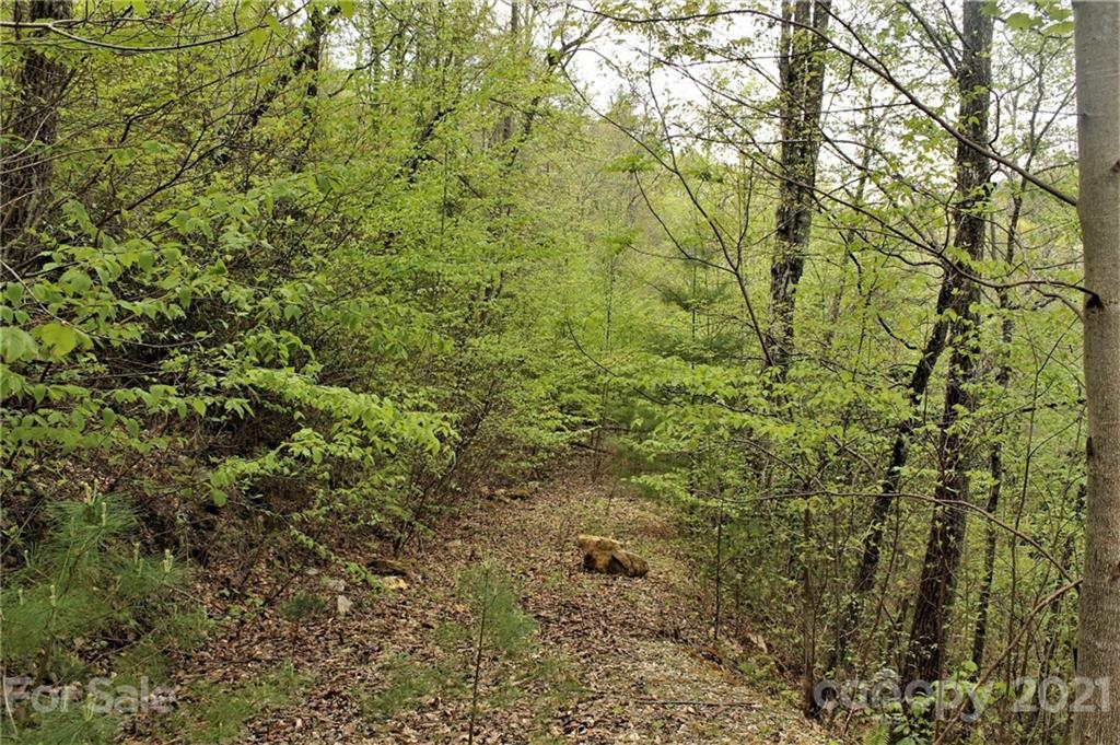 0 Shiners Ridge, Unit 24 Bryson City, NC 28713 - Photo 7 of 11 a view of a yard with a tree