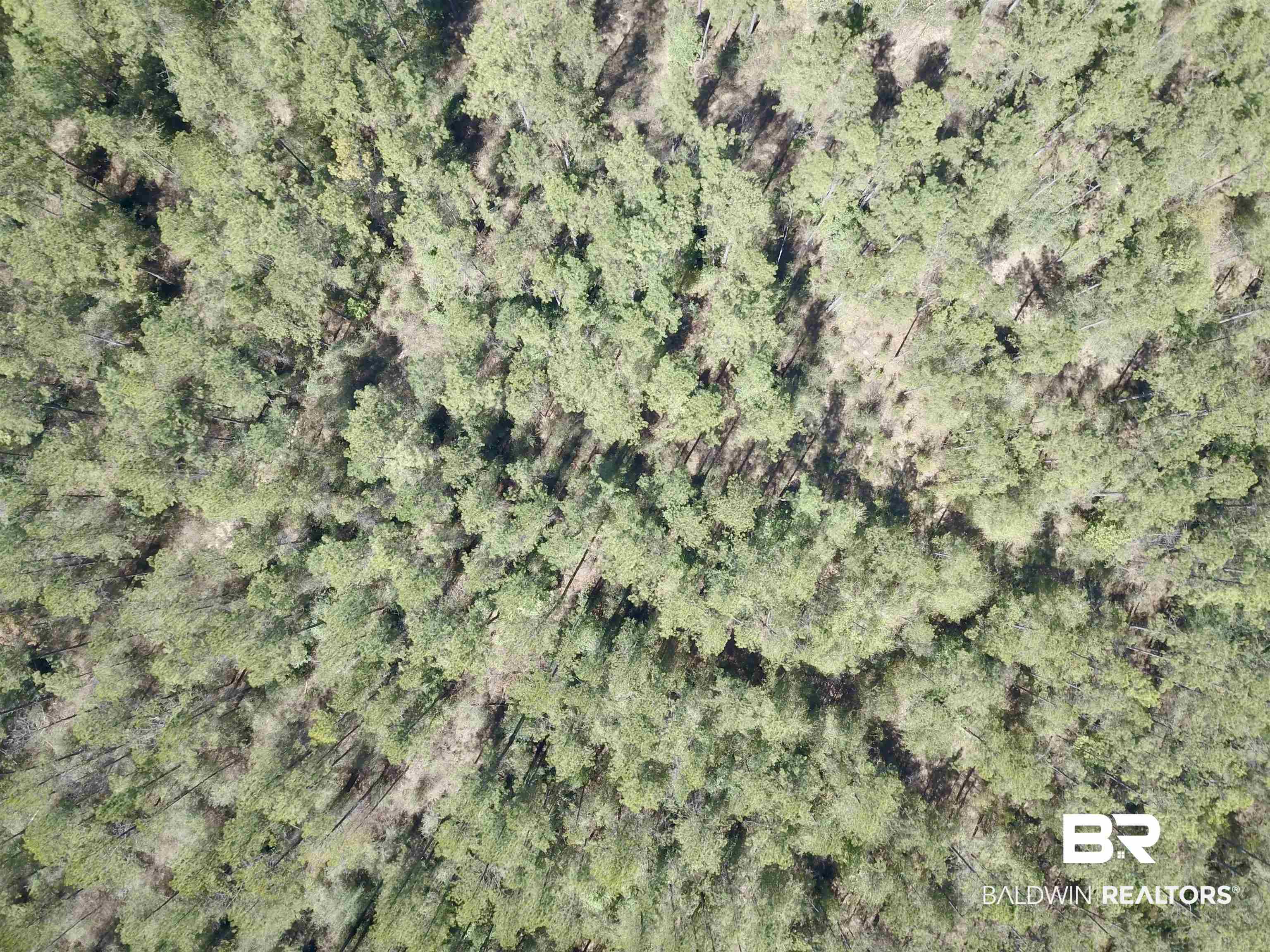 8557 County Road 34 Millry, AL 36558 - Photo 7 of 36 Aerial view