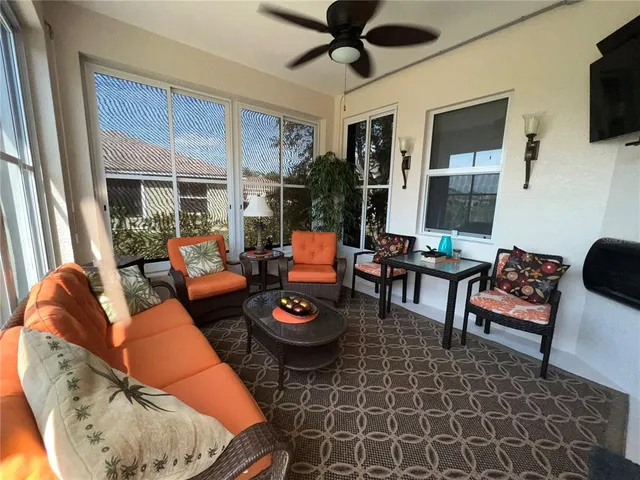 a view of a palm trees in a park