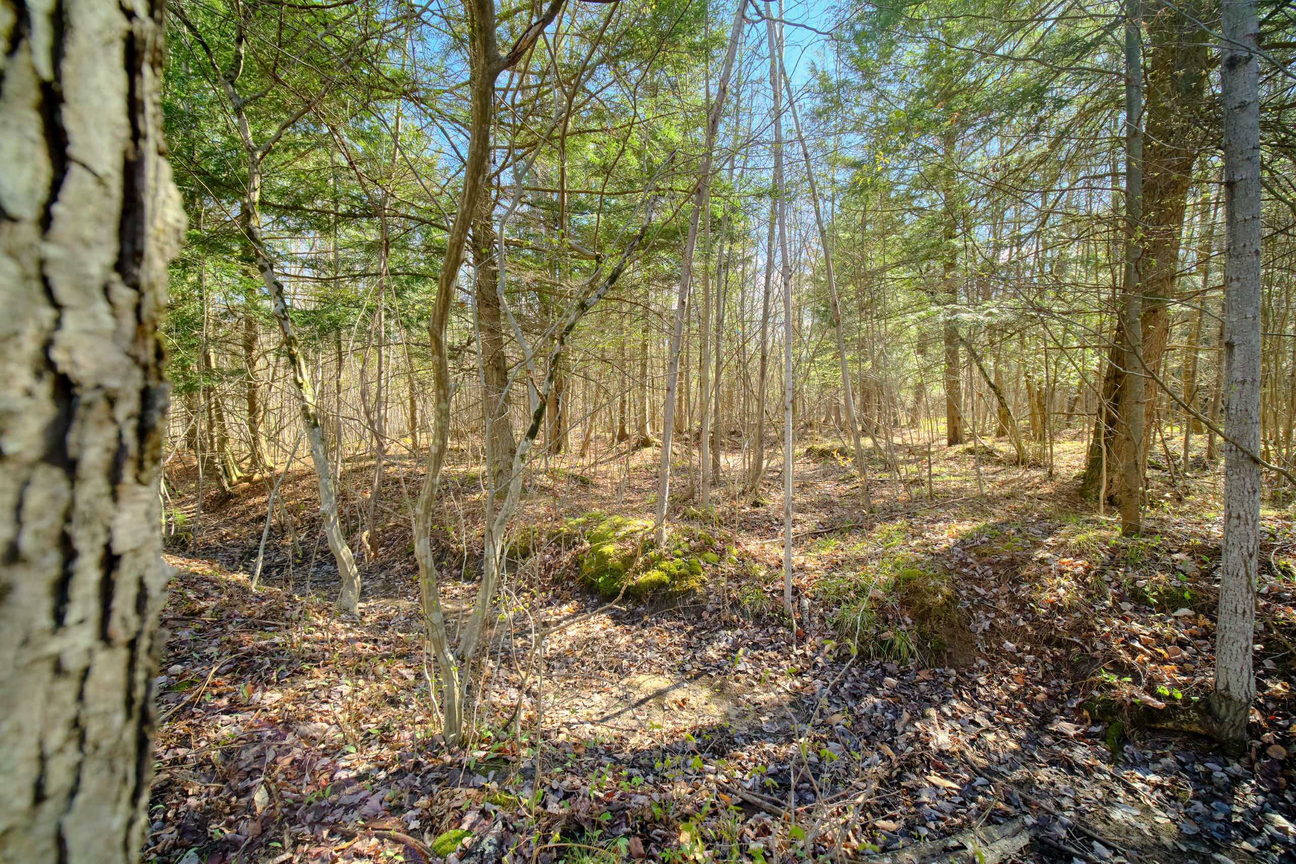 Oravainen Road Kaleva, MI 49645 - Photo 5 of 44 Additional Photo