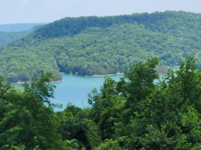 0 Rock Fish Road East Celina, TN 38551 - Photo 1 of 27