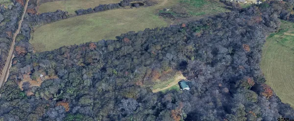 a view of a dry yard
