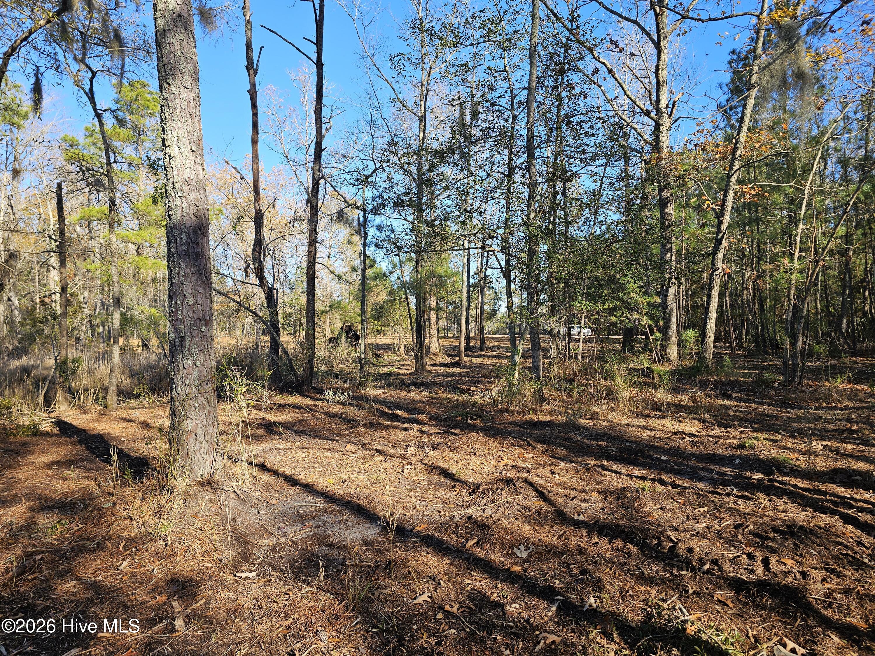 47 Sunset Point Road Belhaven, NC 27810 - Photo 6 of 11 20251209_141515