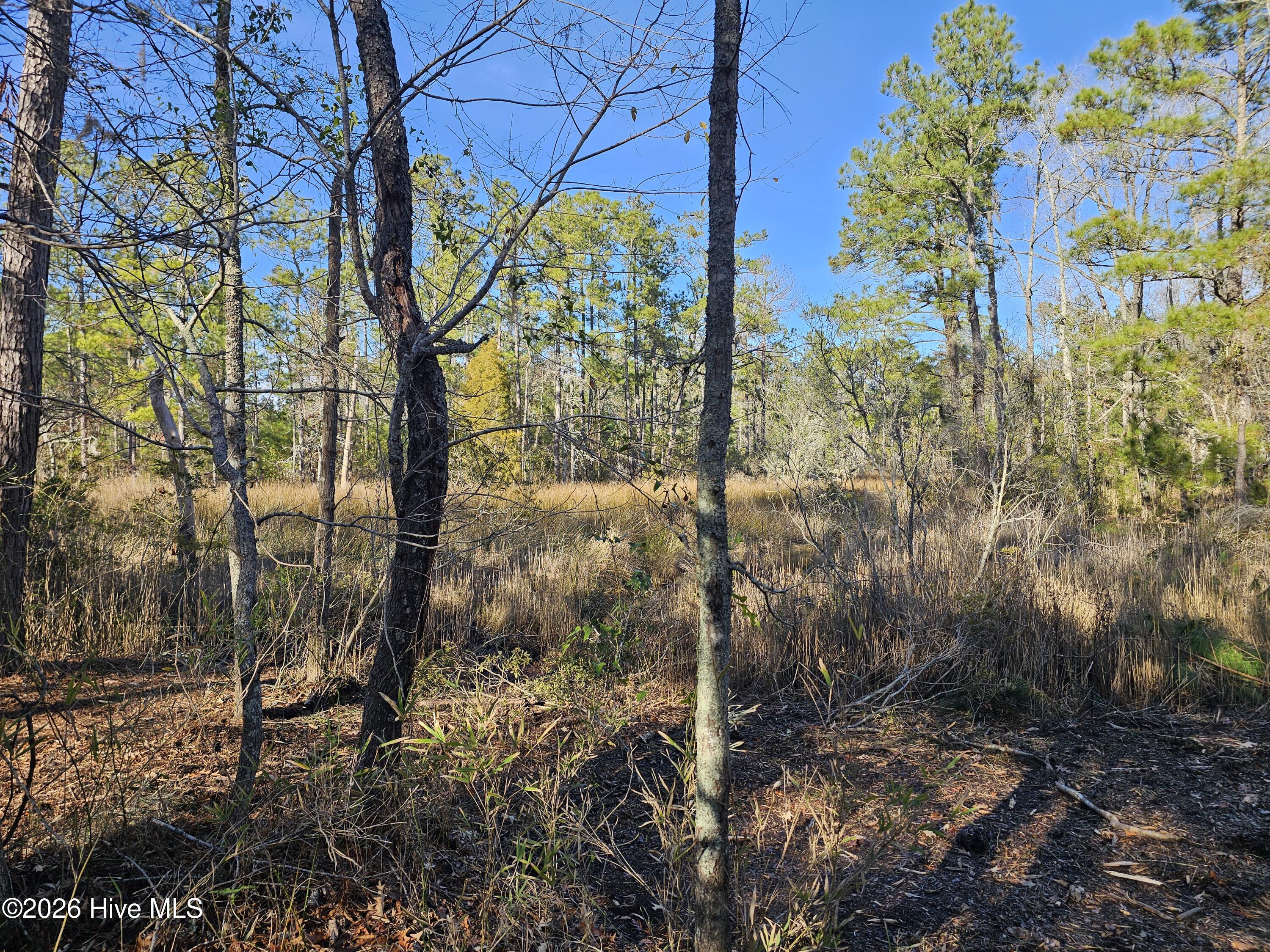 47 Sunset Point Road Belhaven, NC 27810 - Photo 7 of 11 20251209_141535