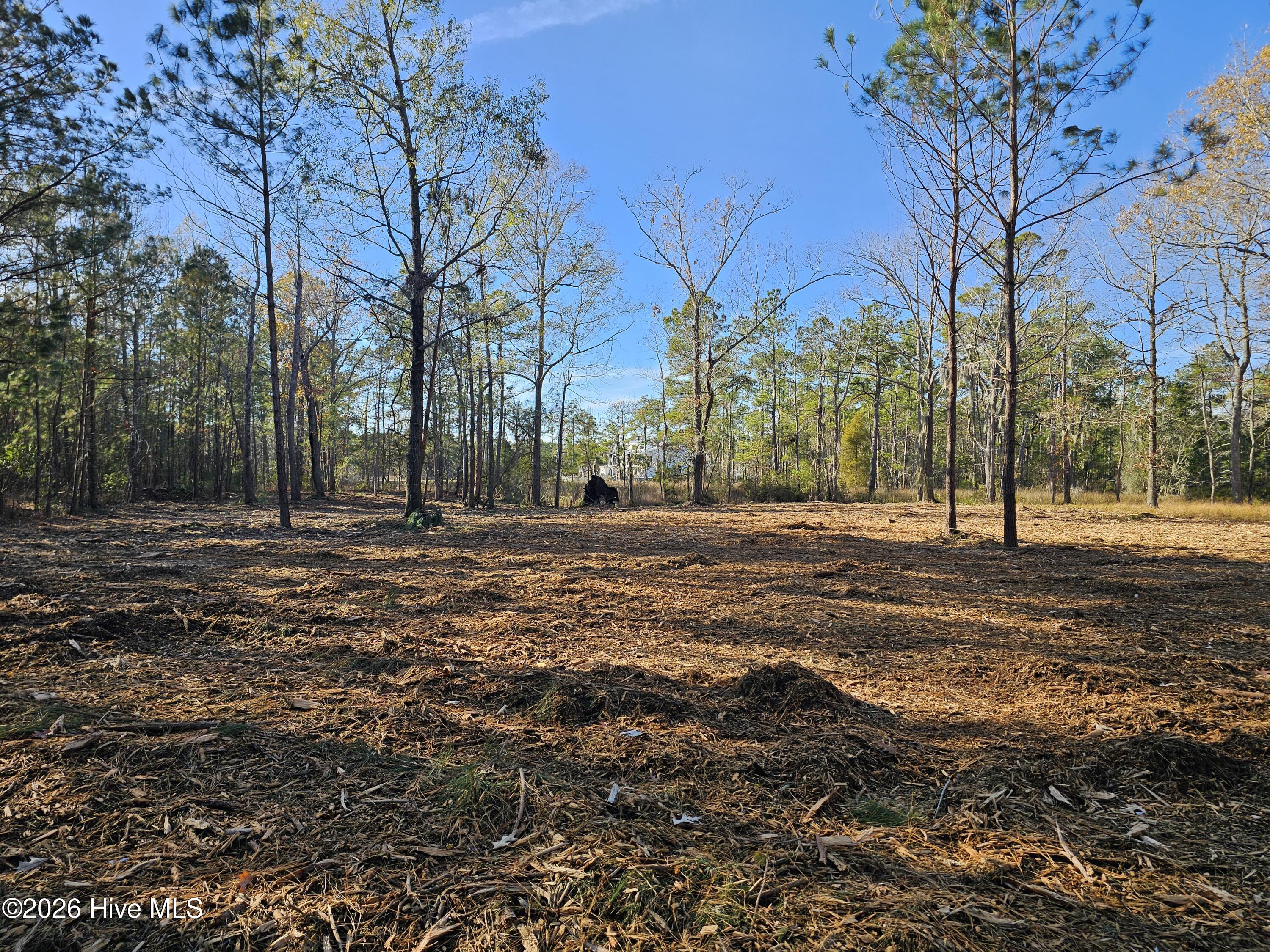 47 Sunset Point Road Belhaven, NC 27810 - Photo 10 of 11 20251209_141917