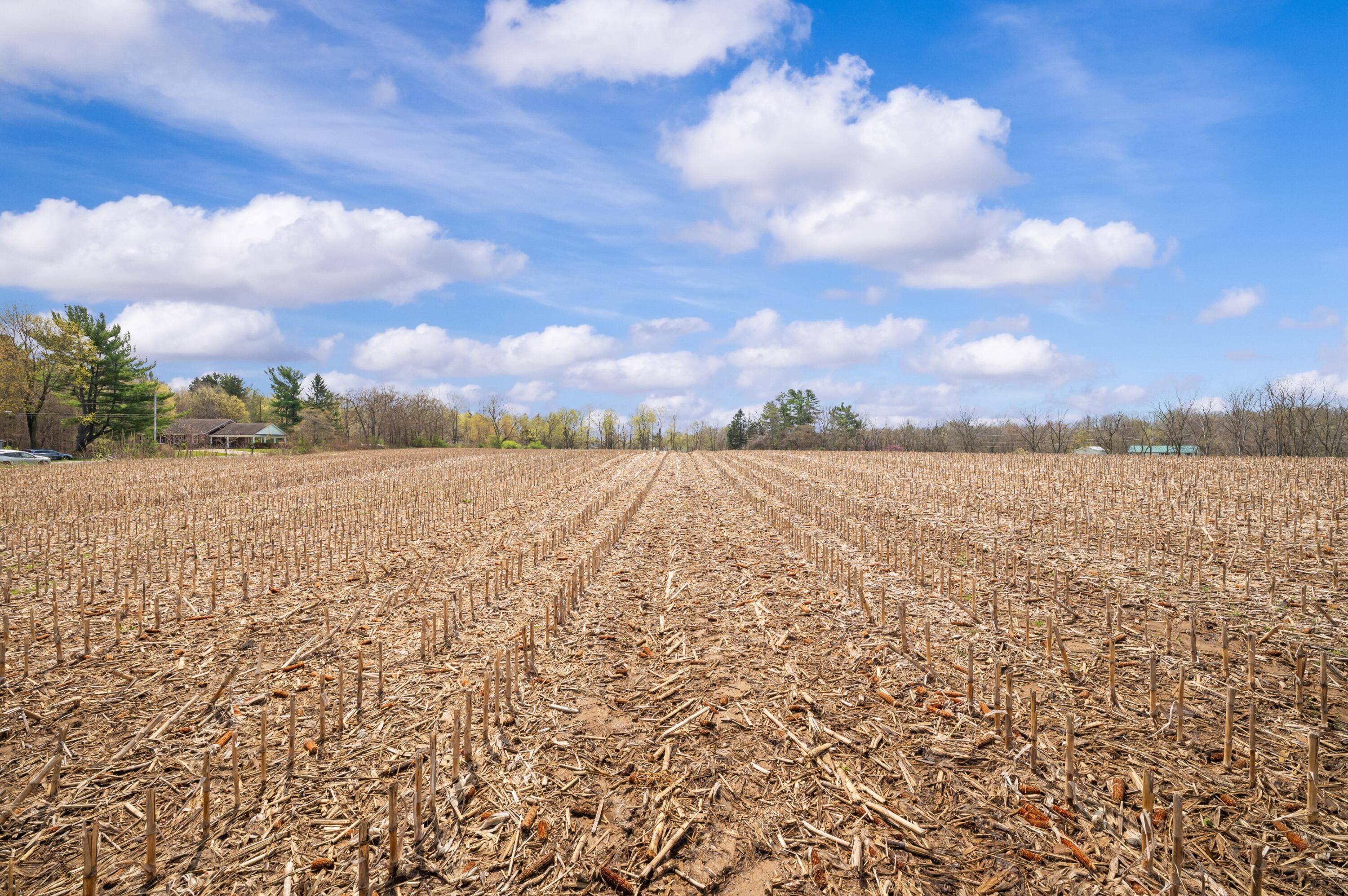 Lot B Broceus School Road Buchanan, MI 49107 - Photo 4 of 23 Ground View