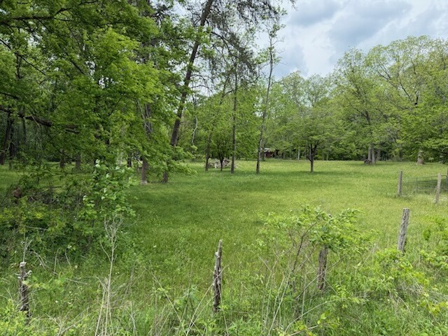 0 Cathy Ridge Road Manchester, TN 37355 - Photo 1 of 3 a view of a green field with lots of bushes