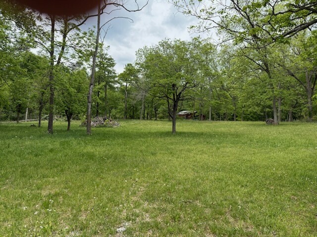 0 Cathy Ridge Road Manchester, TN 37355 - Photo 2 of 3 a view of a tree in a park