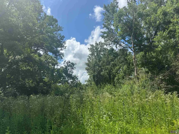 $325,000 | Tbd Aydell Lane, French Settlement, LA 70733