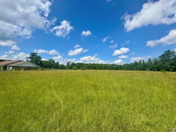 $325,000 | Tbd Aydell Lane, French Settlement, LA 70733