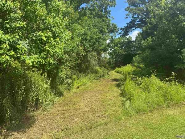 $325,000 | Tbd Aydell Lane, French Settlement, LA 70733