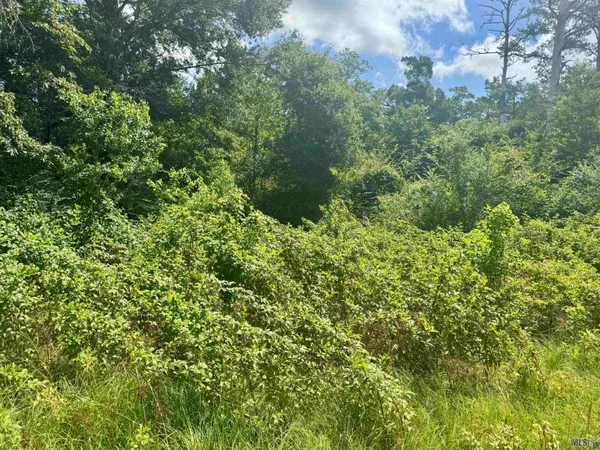 $325,000 | Tbd Aydell Lane, French Settlement, LA 70733