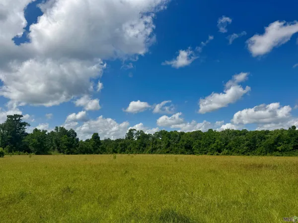 $325,000 | Tbd Aydell Lane, French Settlement, LA 70733
