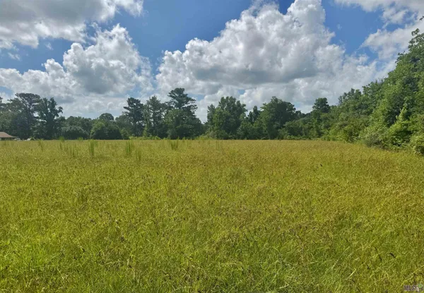 $325,000 | Tbd Aydell Lane, French Settlement, LA 70733