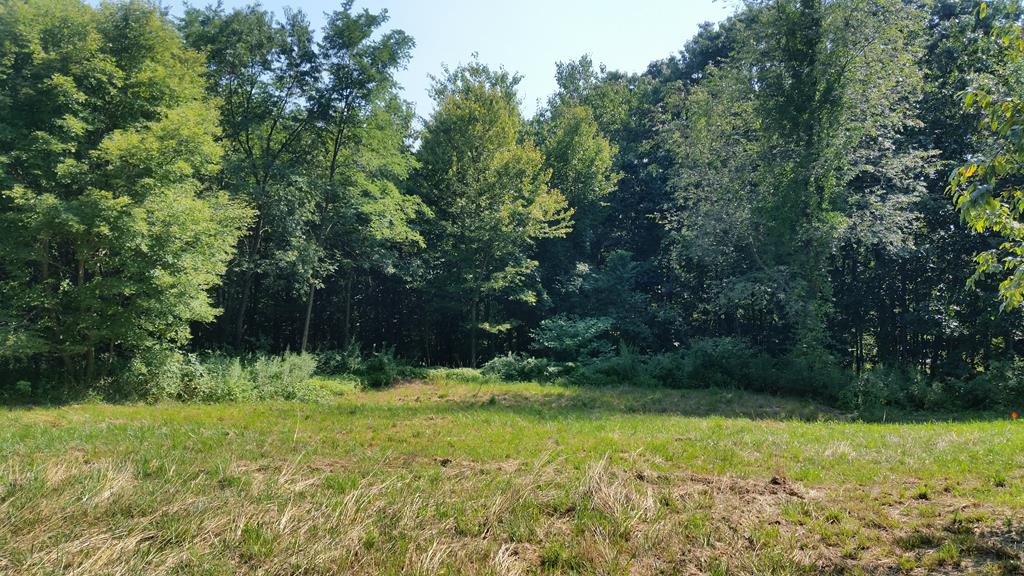 Lot 5 Berley Road, Unit 5 Huntingdon, PA 16652 - Photo 1 of 1 Gallery Image 1