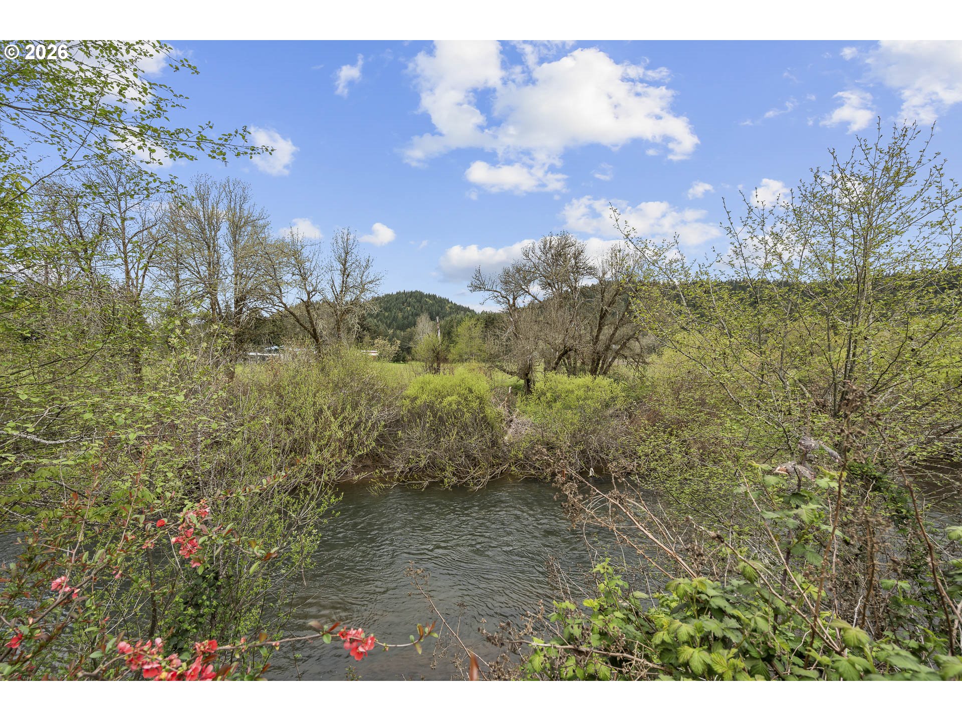 8775 Fort Hill Road Willamina, OR 97396 - Photo 27 of 36