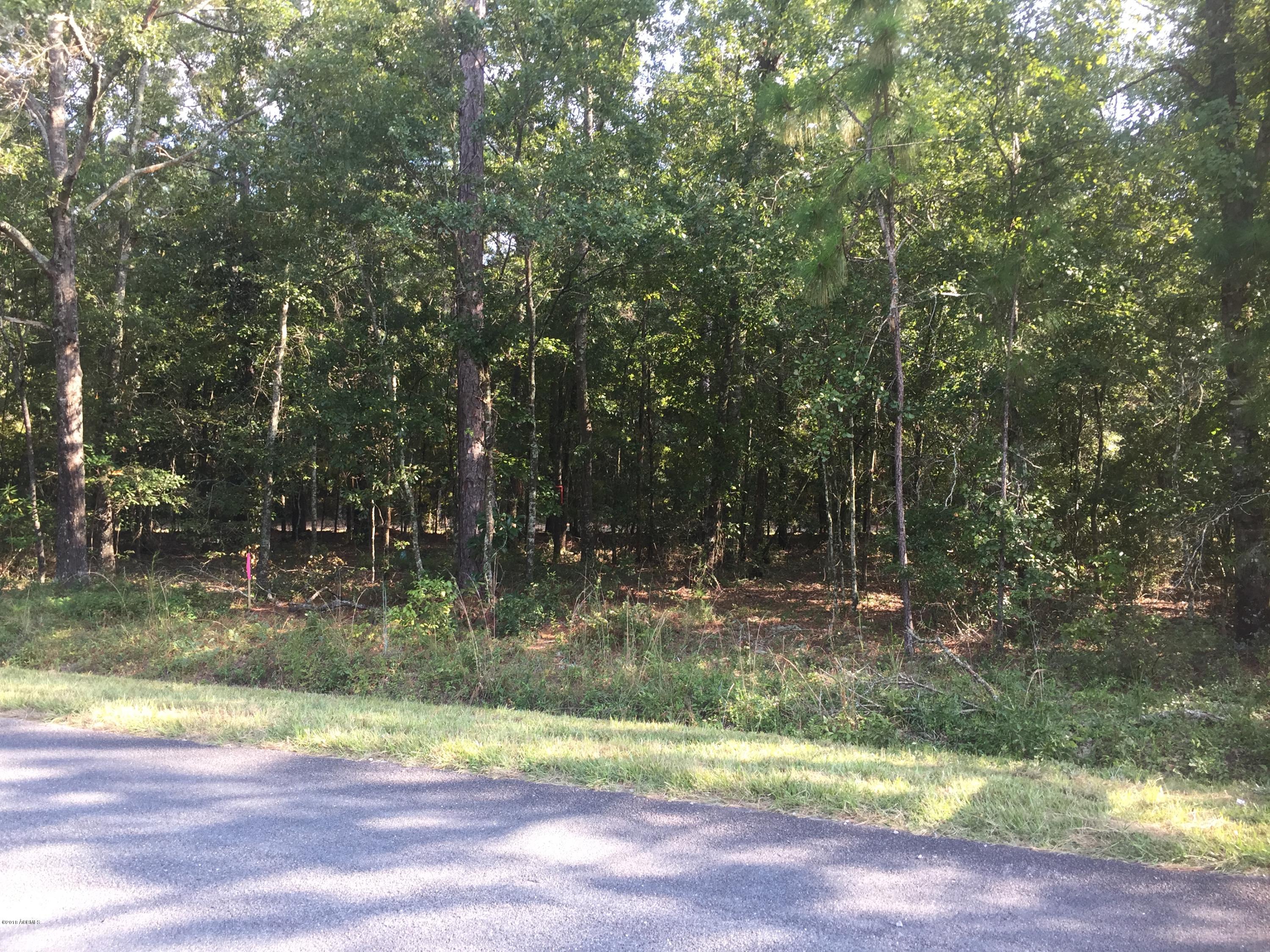 C Taylor Mill Road Ridgeland, SC 29936 - Photo 3 of 7 file2-4