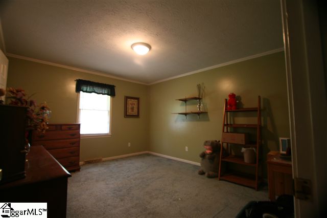 141 Snow Road Pelzer, SC 29669 - Photo 2 of 20