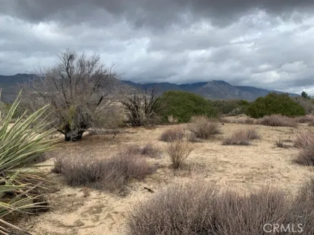 a view of a dry yard with wooden fence