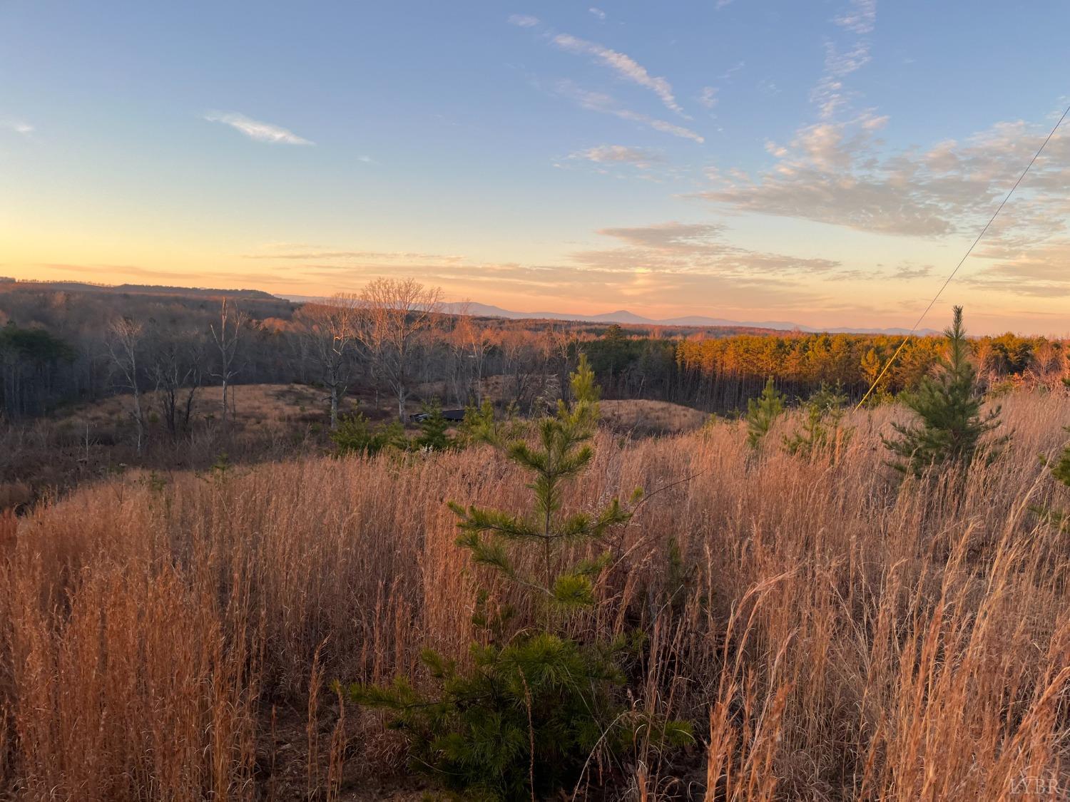 -0 Oakridge Road Appomattox, VA 24522 - Photo 1 of 15 Gallery Image 1