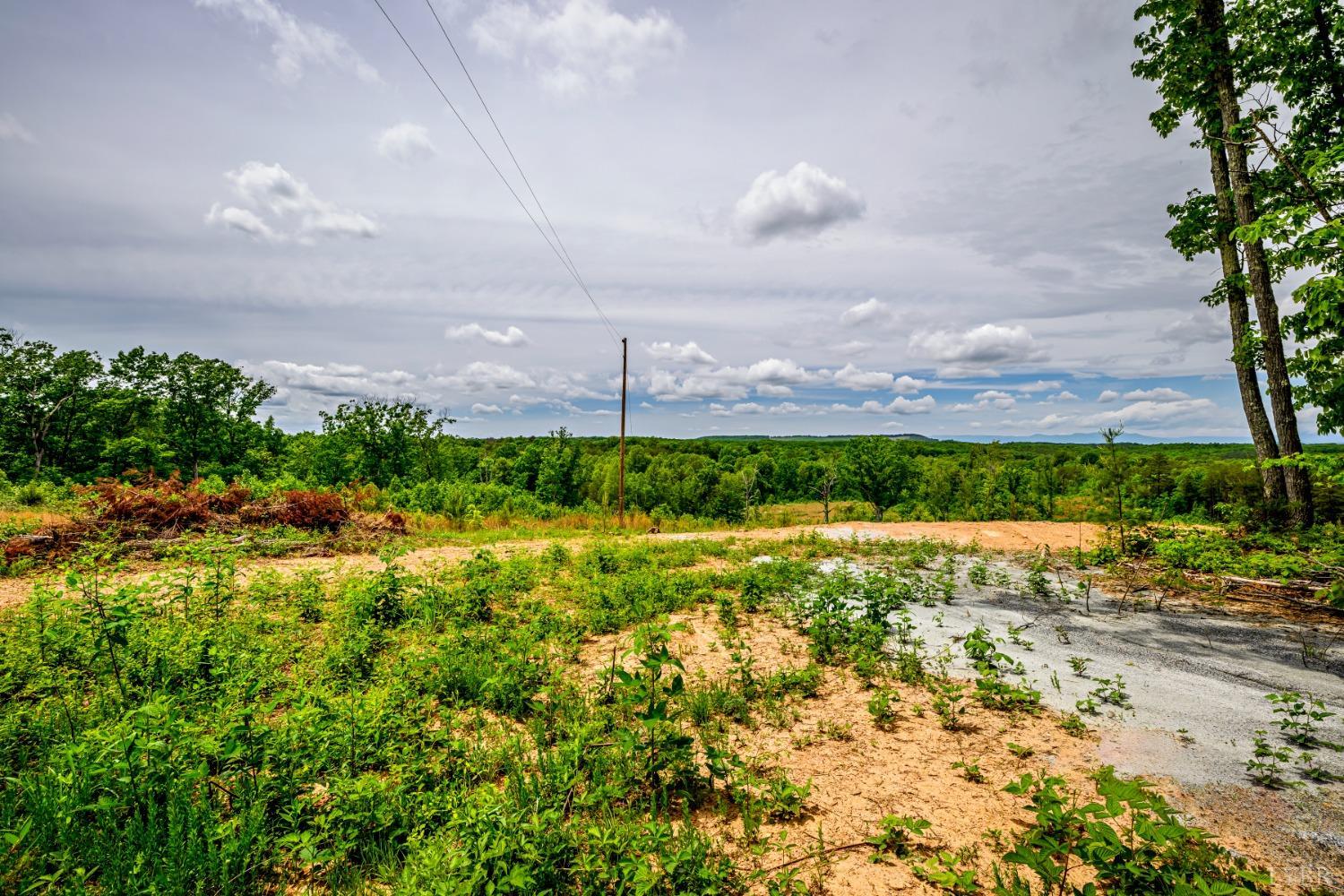 -0 Oakridge Road Appomattox, VA 24522 - Photo 13 of 15 Gallery Image 13