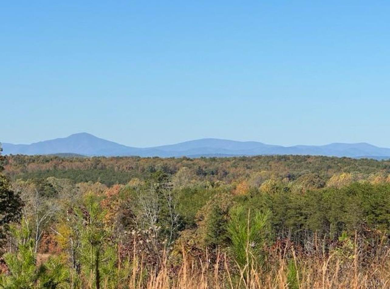 -0 Oakridge Road Appomattox, VA 24522 - Photo 3 of 15 Gallery Image 3