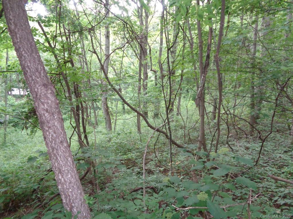 955 Brandywine Road, Unit 411 Waynesville, NC 28786 - Photo 1 of 12 Gallery Image 1