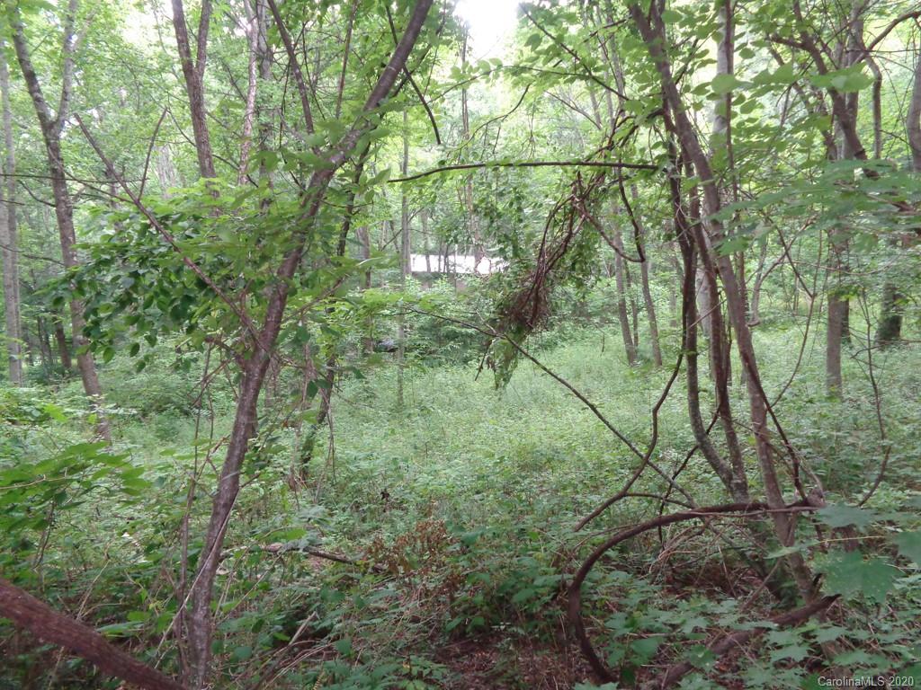 955 Brandywine Road, Unit 411 Waynesville, NC 28786 - Photo 2 of 12 Gallery Image 2