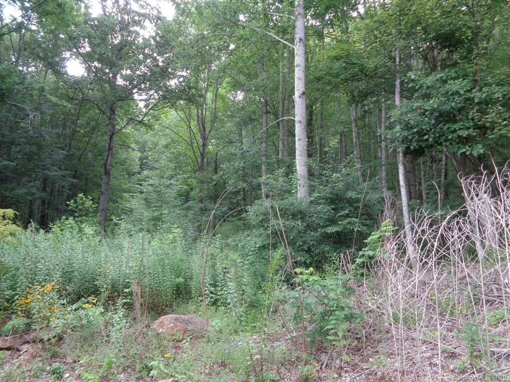 955 Brandywine Road, Unit 411 Waynesville, NC 28786 - Photo 11 of 12 Gallery Image 11