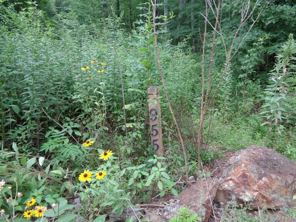 955 Brandywine Road, Unit 411 Waynesville, NC 28786 - Photo 12 of 12 Gallery Image 12
