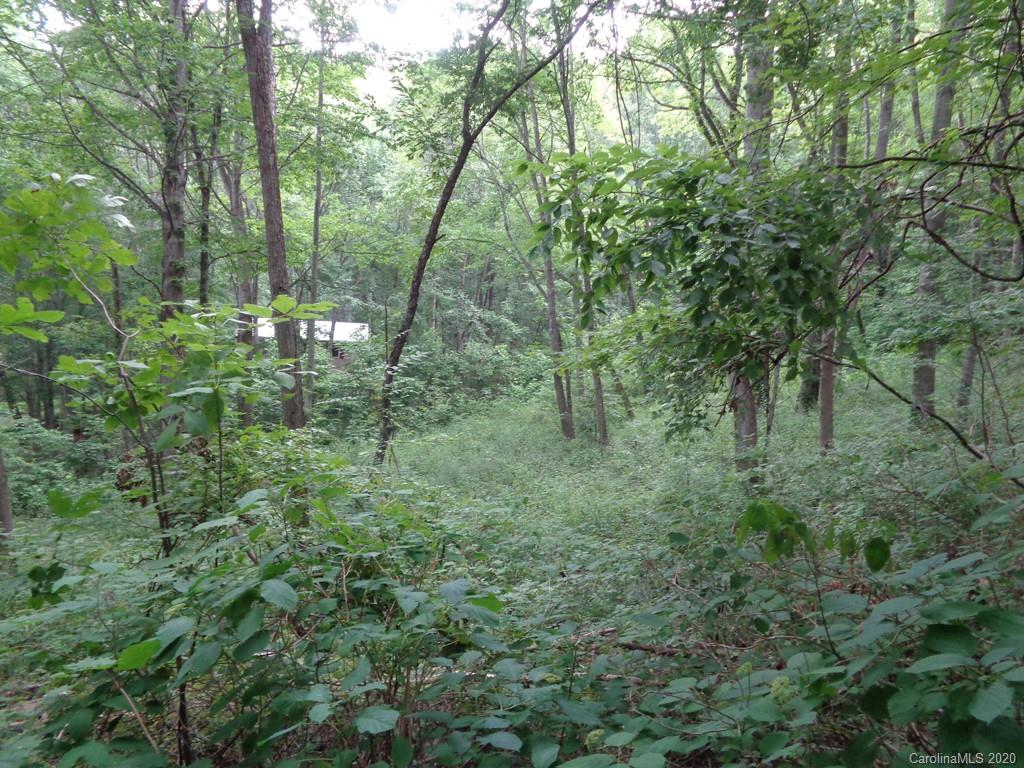 955 Brandywine Road, Unit 411 Waynesville, NC 28786 - Photo 3 of 12 Gallery Image 3