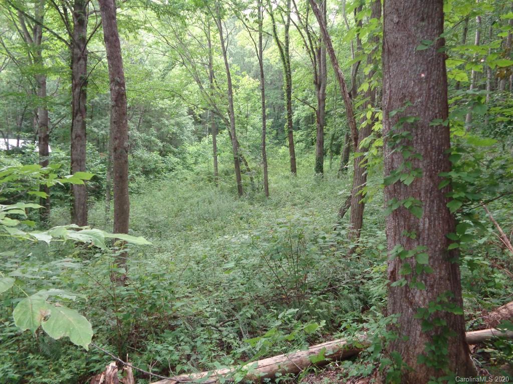 955 Brandywine Road, Unit 411 Waynesville, NC 28786 - Photo 6 of 12 Gallery Image 6