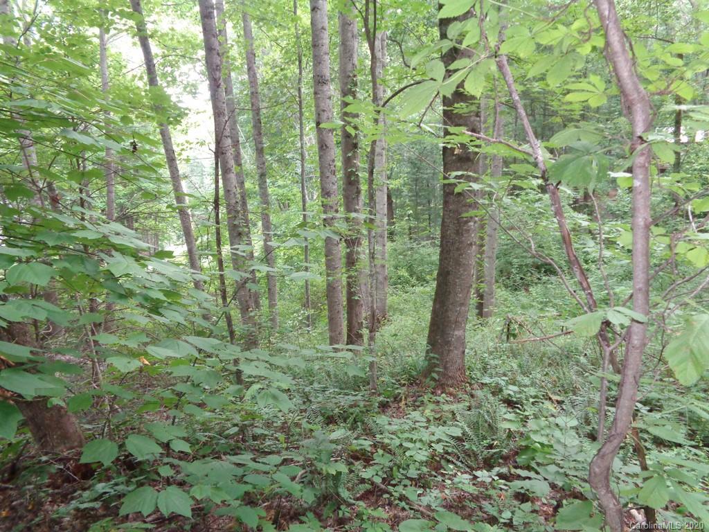 955 Brandywine Road, Unit 411 Waynesville, NC 28786 - Photo 7 of 12 Gallery Image 7