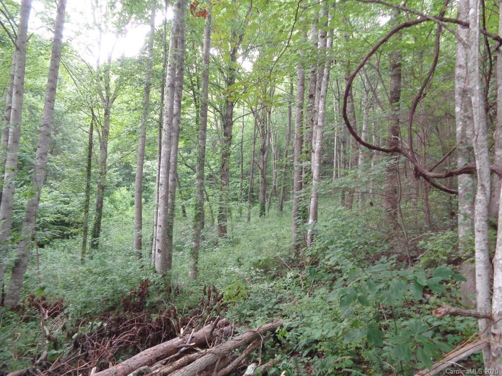 955 Brandywine Road, Unit 411 Waynesville, NC 28786 - Photo 10 of 12 Gallery Image 10