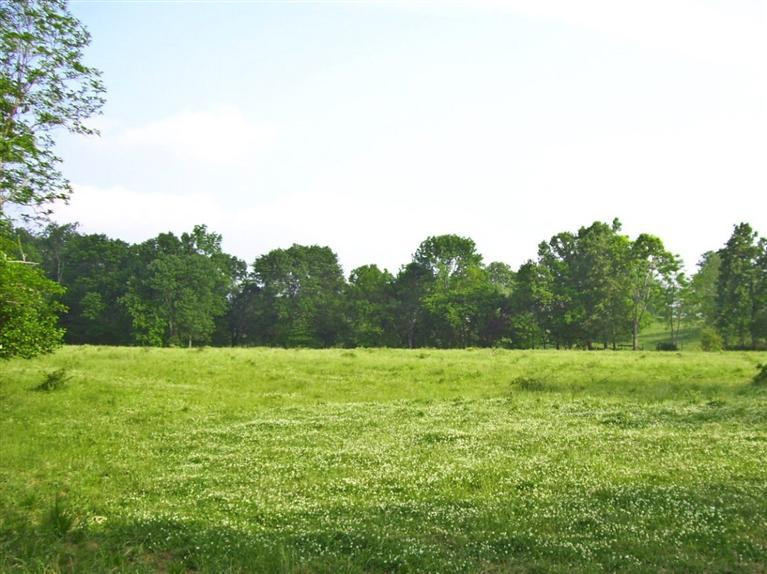 501 Gunnell Road Georgetown, KY 40324 - Photo 1 of 14 Photo 1