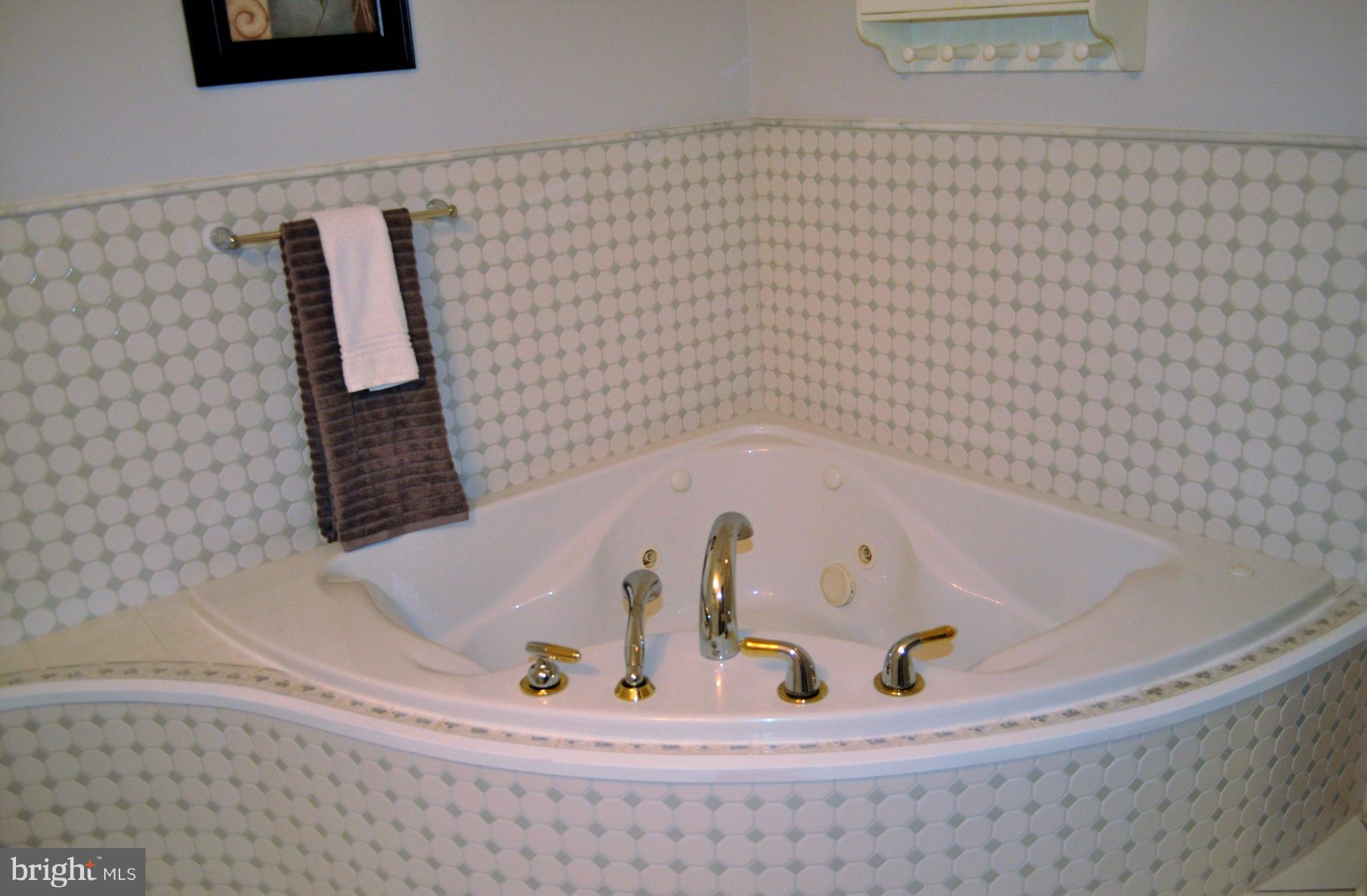 2004 Furnace Road Fallston, MD 21047 - Photo 20 of 30 Stunning main level jacuzzi