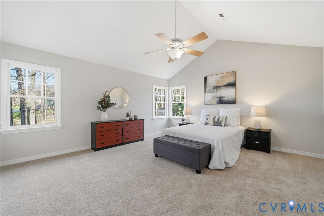 919 Walton Creek Drive Midlothian, VA 23114 - Photo 21 of 48