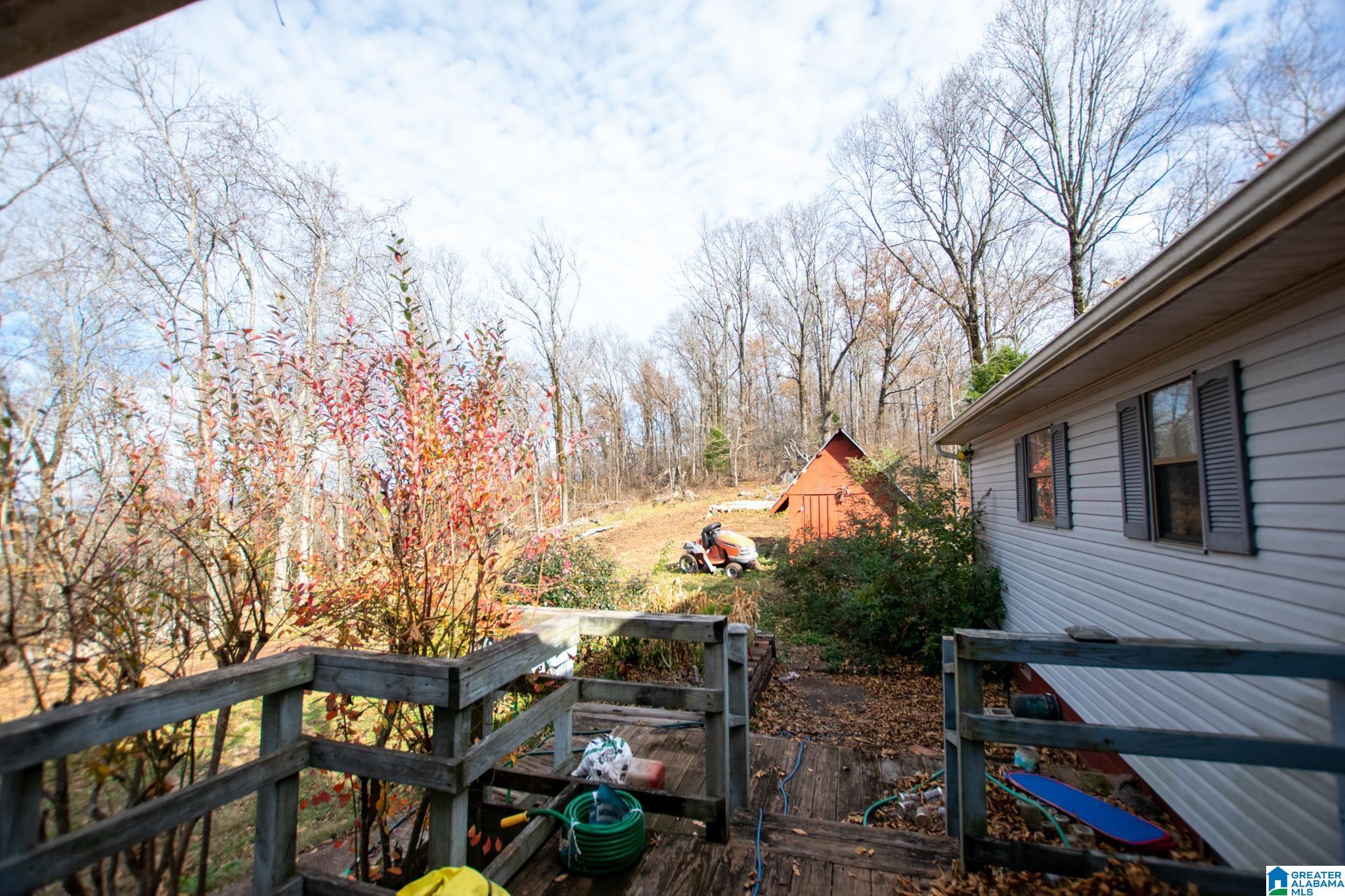 543 Young Road Remlap, AL 35133 - Photo 36 of 46