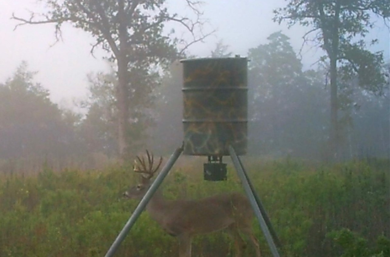 3747 Sparta Field Road Flatonia, TX 78941 - Photo 2 of 37 a bathroom with a shower